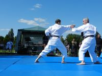 Bilder_2012 (7)